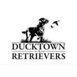 Ducktown Retrievers